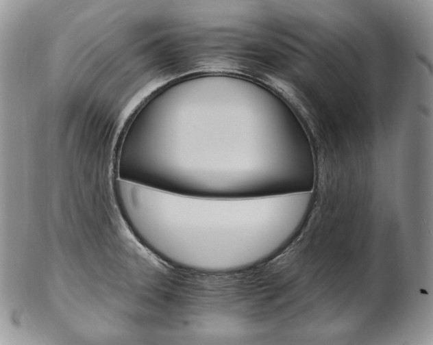 X0000103131331200808221033