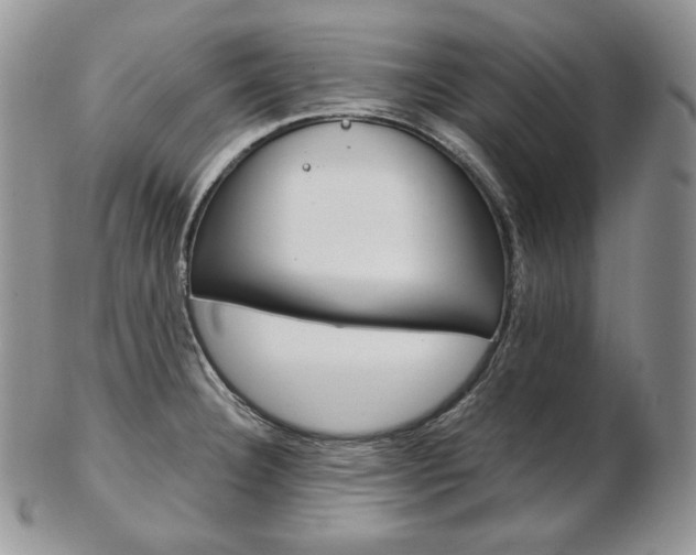 X0000103131332200808221033
