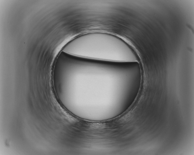 X0000103131333200808221033