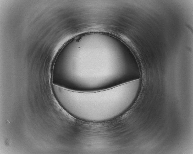 X0000103131334200808221033