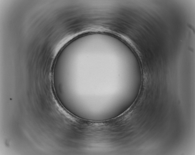 X0000103131335200808221033