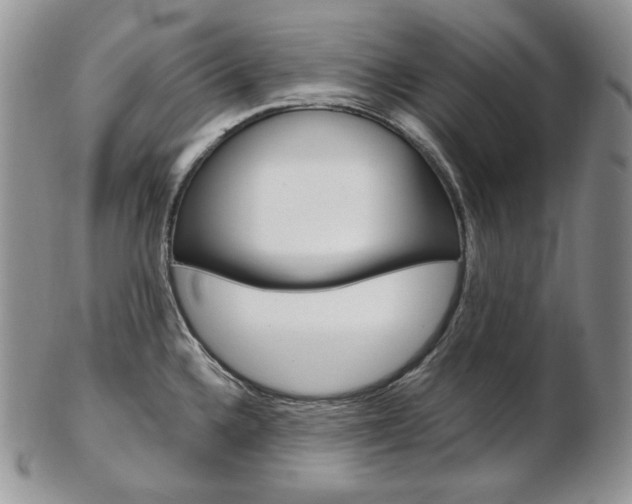 X0000103131336200808221033
