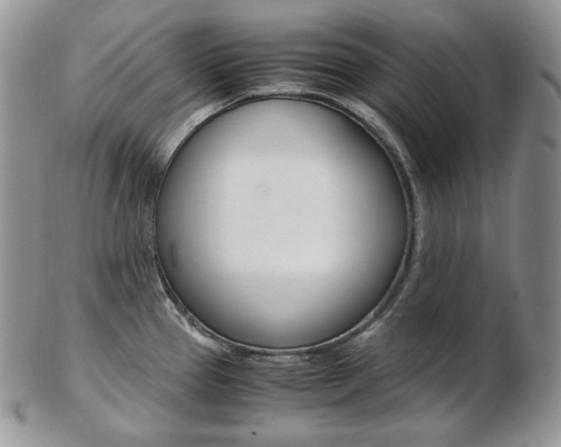 X0000103131337200808221033