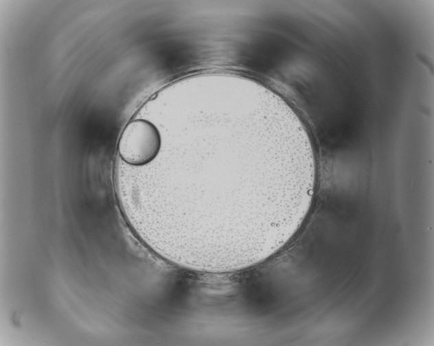 X0000103131338200808221033