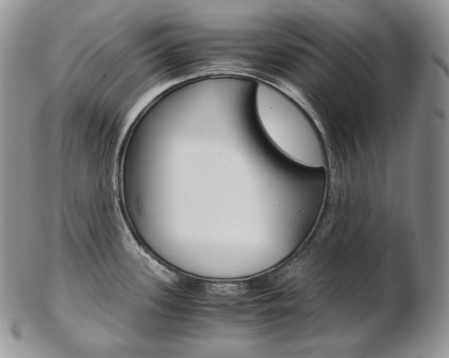 X0000103131339200808221033