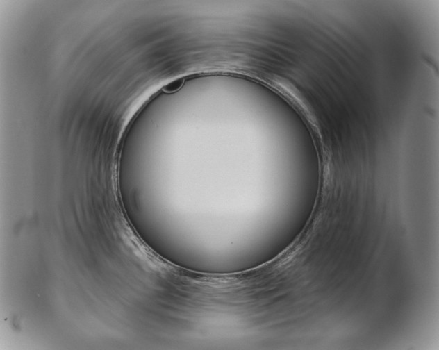 X0000103131340200808221033