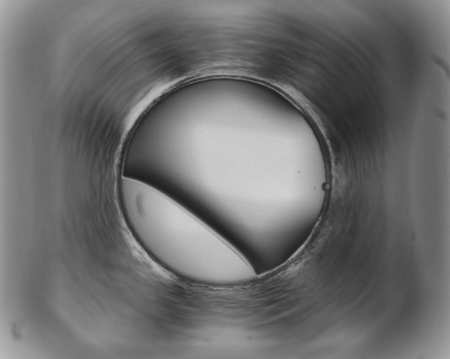 X0000103131341200808221033