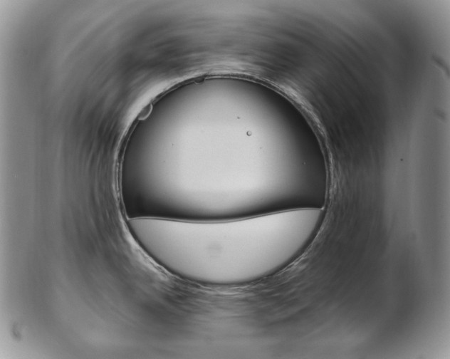 X0000103131342200808221033