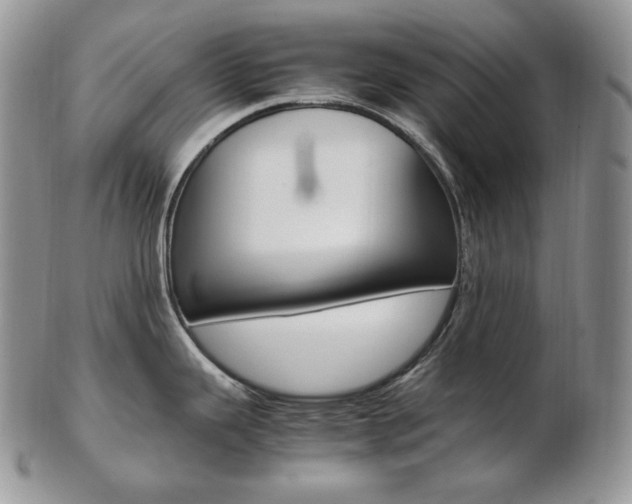 X0000103131343200808221033