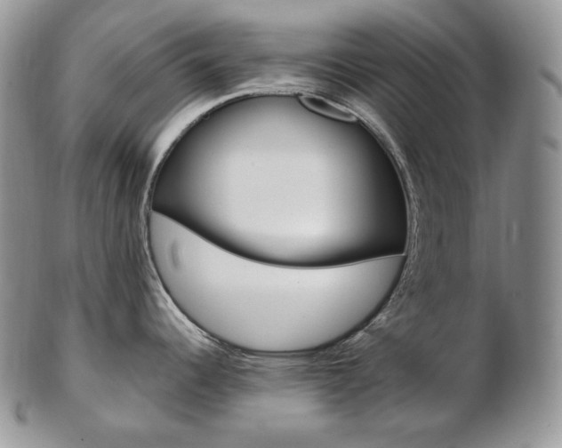 X0000103131344200808221033