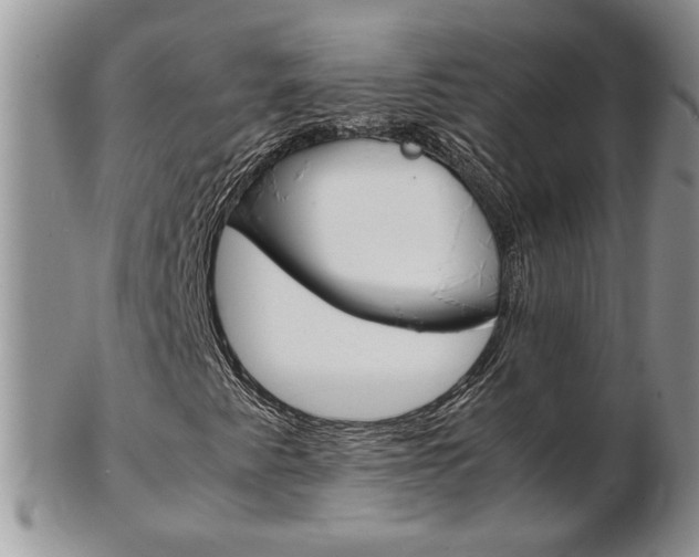 X0000103131345200808221032