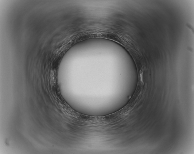 X0000103131347200808221032