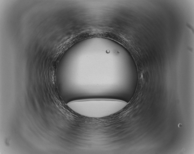 X0000103131348200808221032