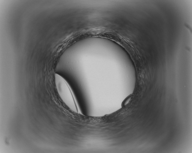 X0000103131349200808221032