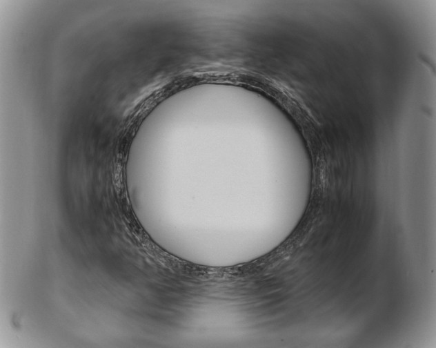 X0000103131350200808221032