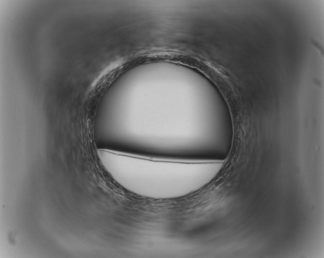 X0000103131351200808221032