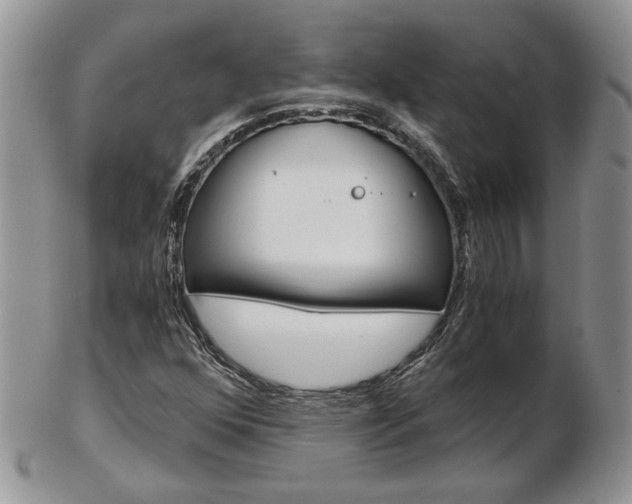 X0000103131352200808221032