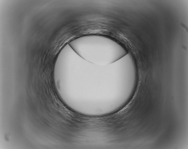 X0000103131353200808221032