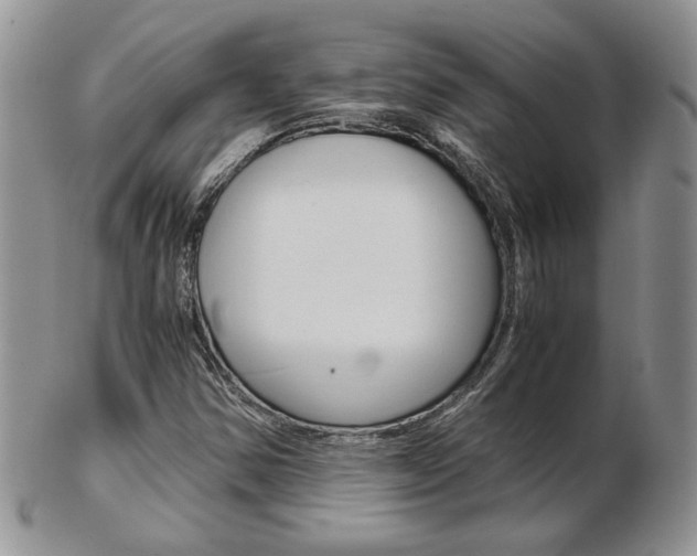 X0000103131354200808221032