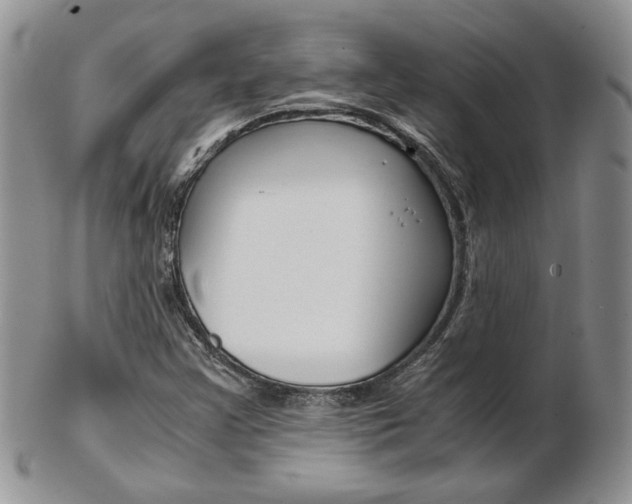X0000103131355200808221032