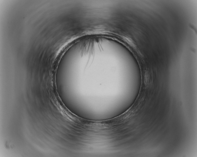 X0000103131356200808221032