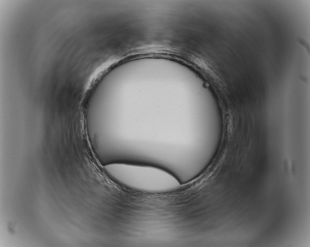 X0000103131358200808221032