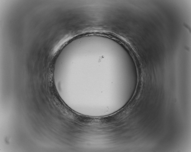 X0000103131359200808221032