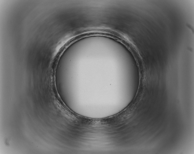 X0000103131360200808221032