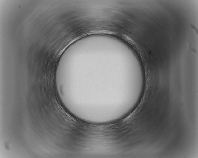 X0000103131361200808221032