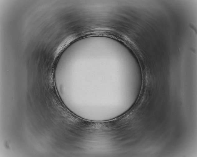 X0000103131362200808221032