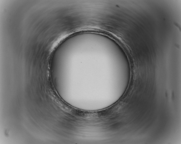 X0000103131363200808221032