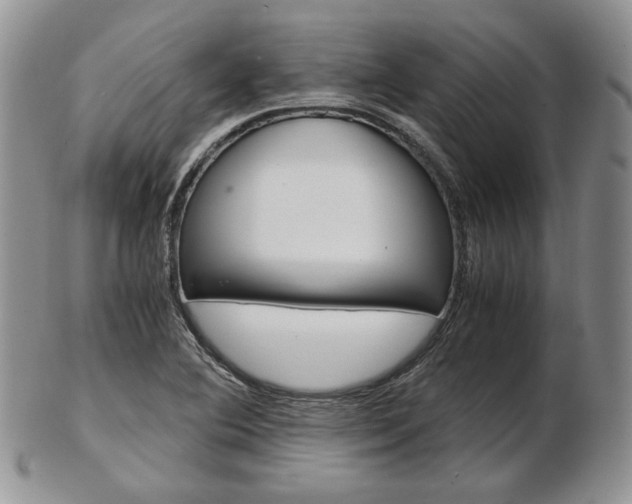 X0000103131364200808221032