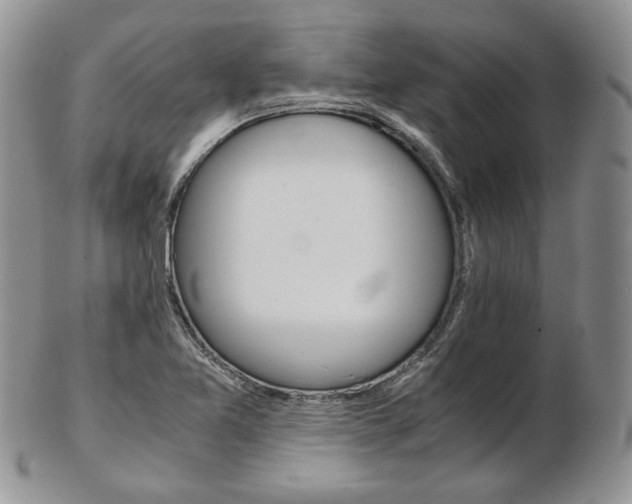 X0000103131365200808221032