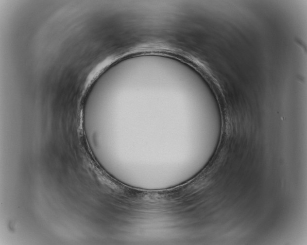 X0000103131366200808221032
