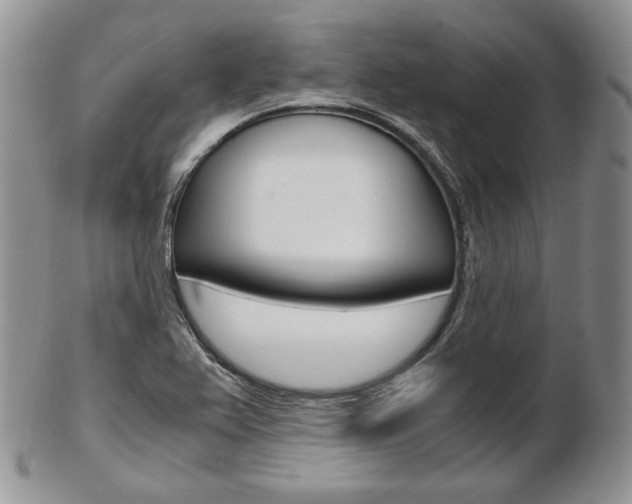 X0000103131367200808221032