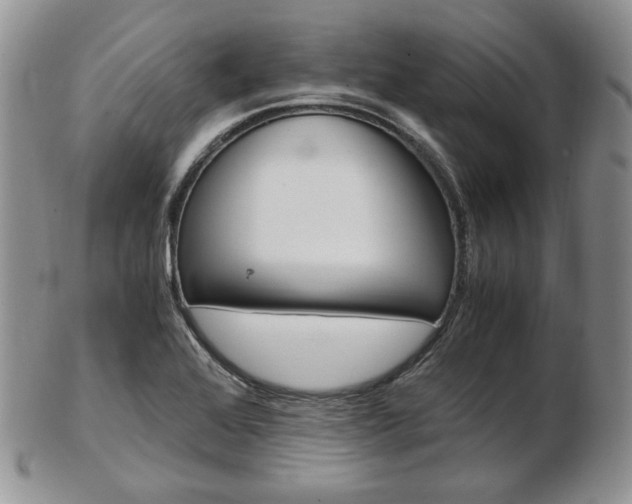 X0000103131368200808221032