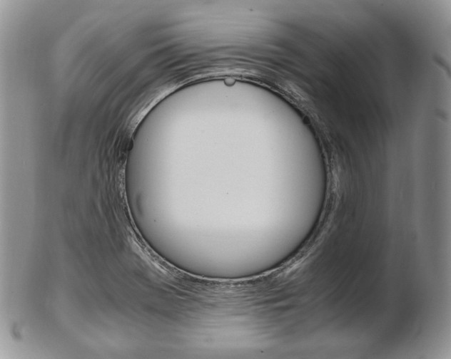 X0000103131369200808221032