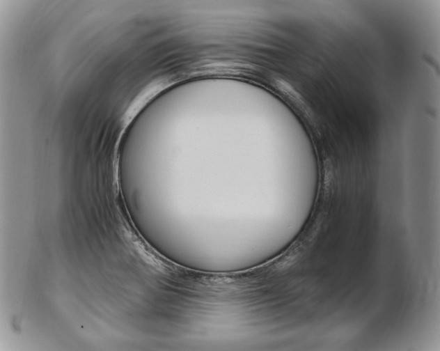 X0000103131370200808221032