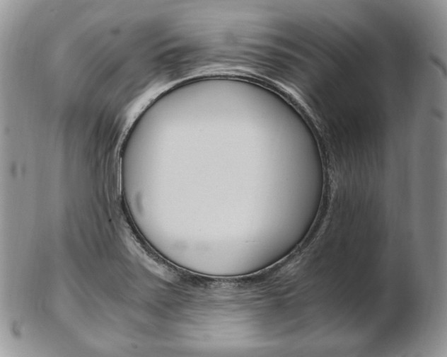 X0000103131371200808221032