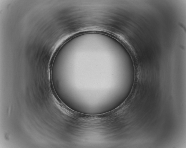 X0000103131372200808221032
