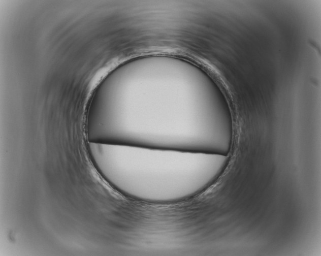 X0000103131373200808221032