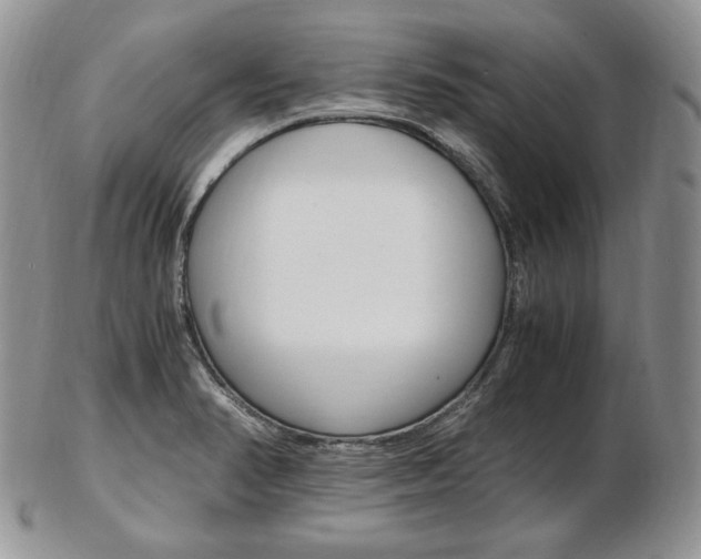X0000103131374200808221032