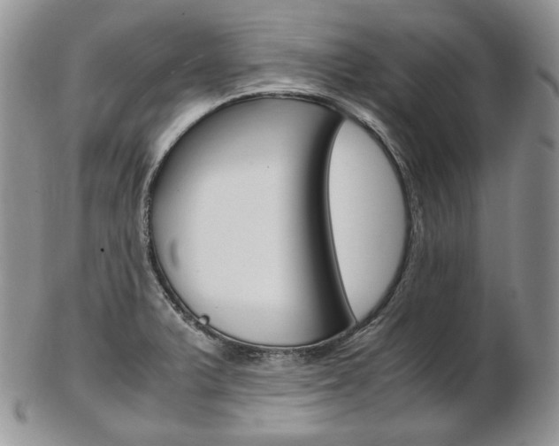 X0000103131375200808221032