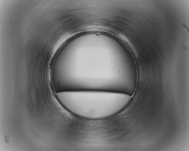 X0000103131376200808221032