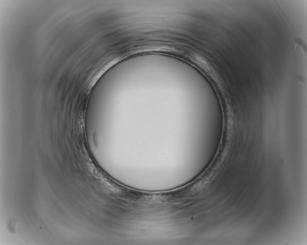 X0000103131377200808221032