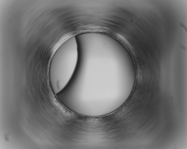 X0000103131378200808221032
