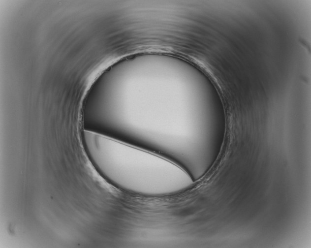 X0000103131379200808221032