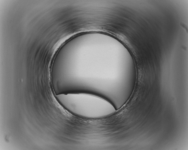 X0000103131380200808221032