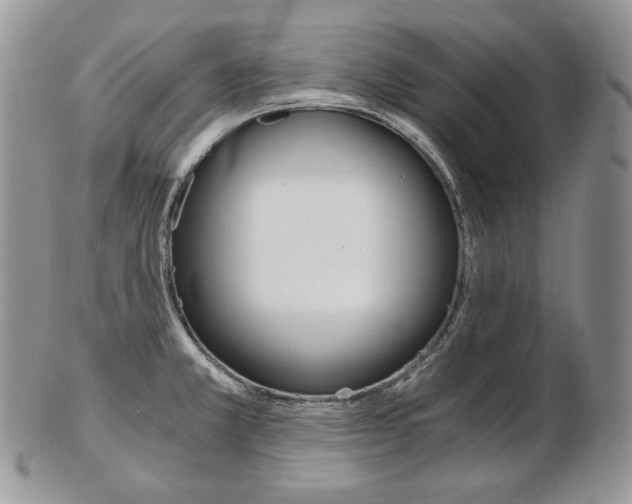 X0000103131381200808221032