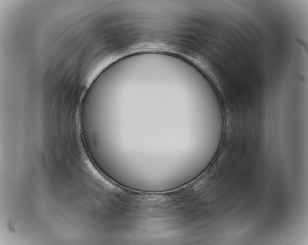 X0000103131382200808221032